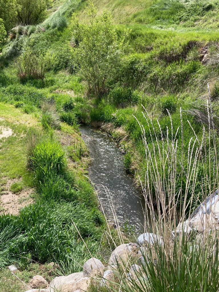 Lot 10 Cactus Lane, Unit 10 Lewiston, ID 83501 - Photo 10 of 35