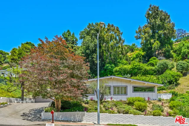 a view of a backyard with plants