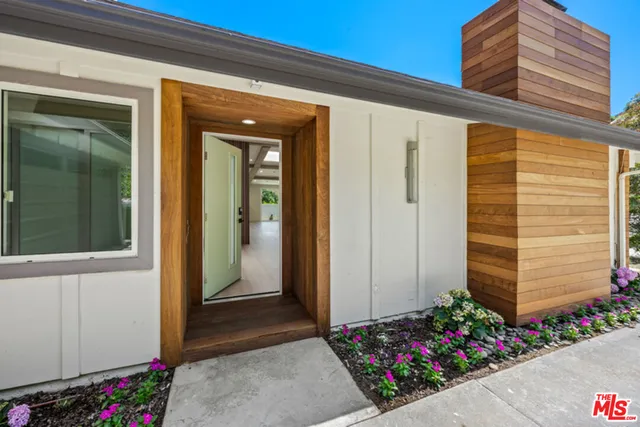 a view of a potted plant sitting in front of a house