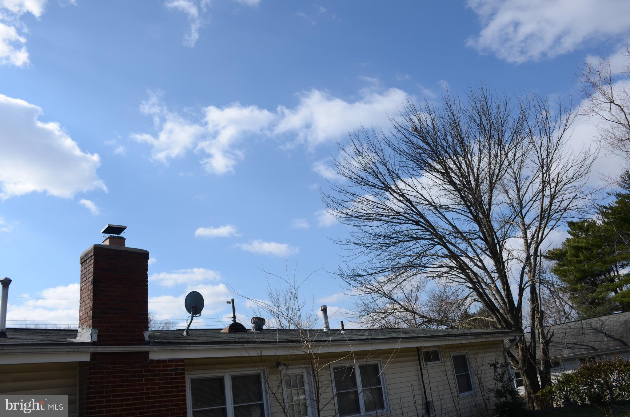 6618 Custer Street Springfield, VA 22150 - Photo 8 of 11 Roof good