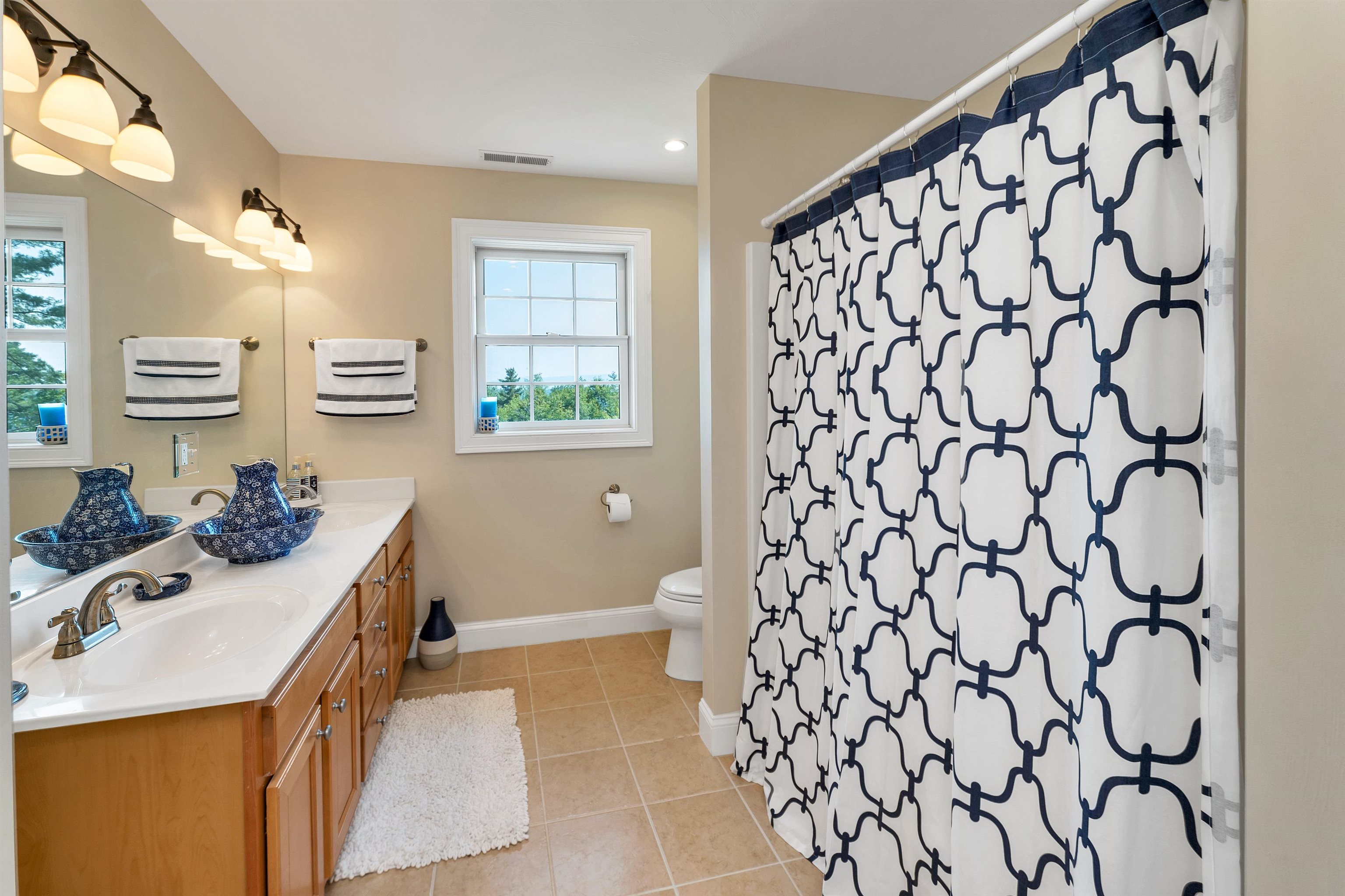 4 Mountain Ridge Drive Meredith, NH 03253 - Photo 32 of 56