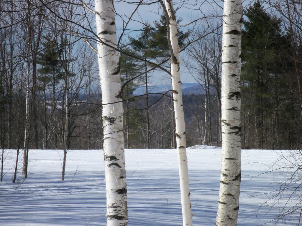 202 Baldwin Hill Road Fayette, ME 04349 - Photo 3 of 5 Photo