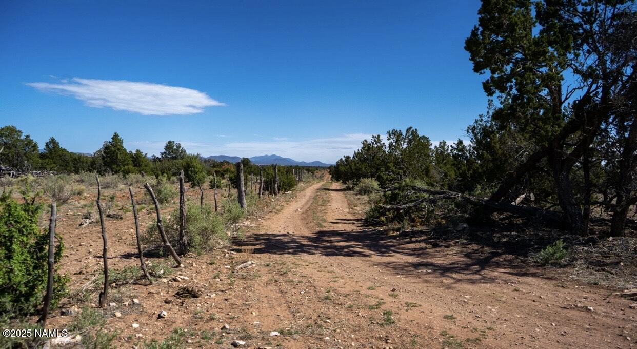 938 North Spruce Road Williams, AZ 86046 - Photo 2 of 10 a view of a backyard of the house