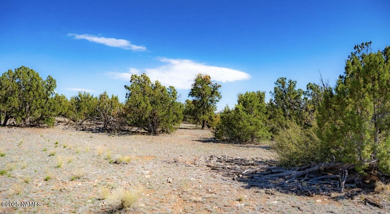 938 North Spruce Road Williams, AZ 86046 - Photo 3 of 10 a view of a snow on a beach