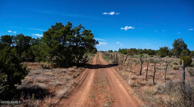 a view of a yard with a tree