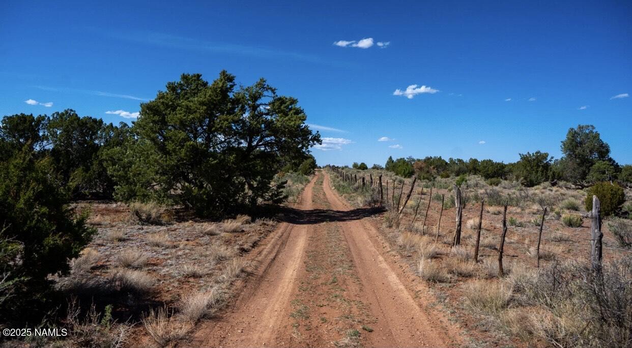 938 North Spruce Road Williams, AZ 86046 - Photo 4 of 10 a view of a yard with a tree