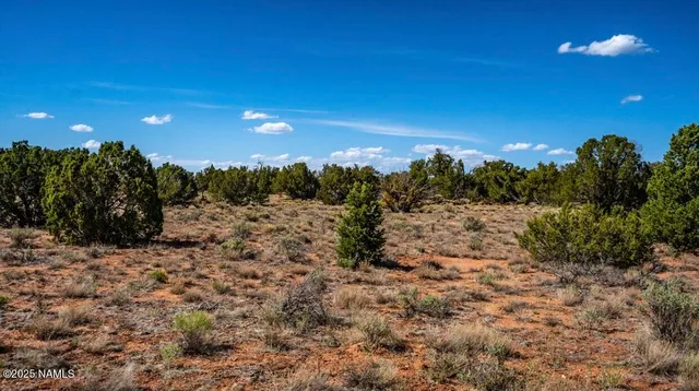 a view of a yard with a tree