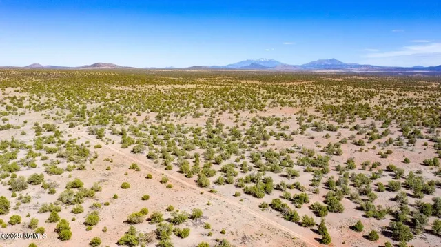 a view of an aerial view of residential houses with outdoor space and mountain view