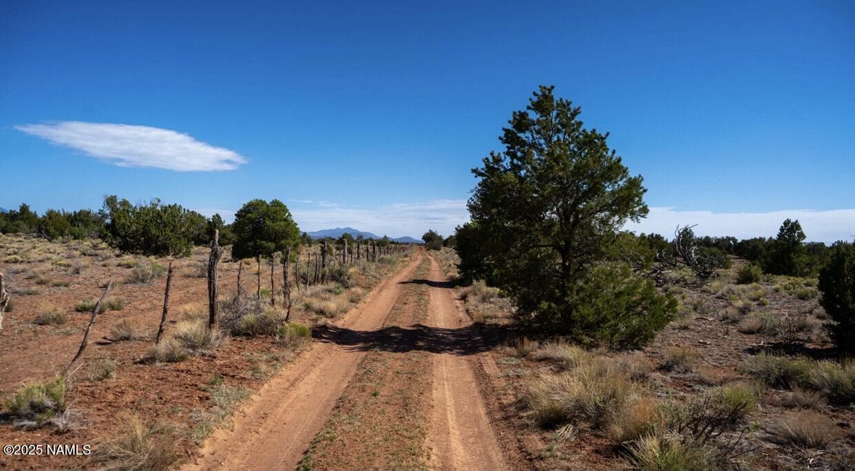938 North Spruce Road Williams, AZ 86046 - Photo 10 of 10 a view of a backyard with a patio