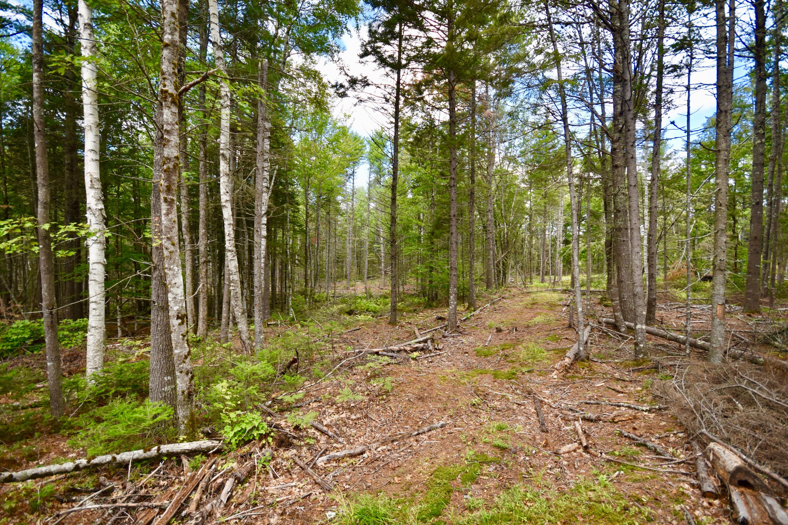 0 West Appleton Road Appleton, ME 04862 - Photo 11 of 13 DSC_0634