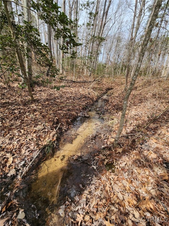 2275 Cedar Hill Road Mineral, VA 23117 - Photo 33 of 34 Actual Property 2.19.25