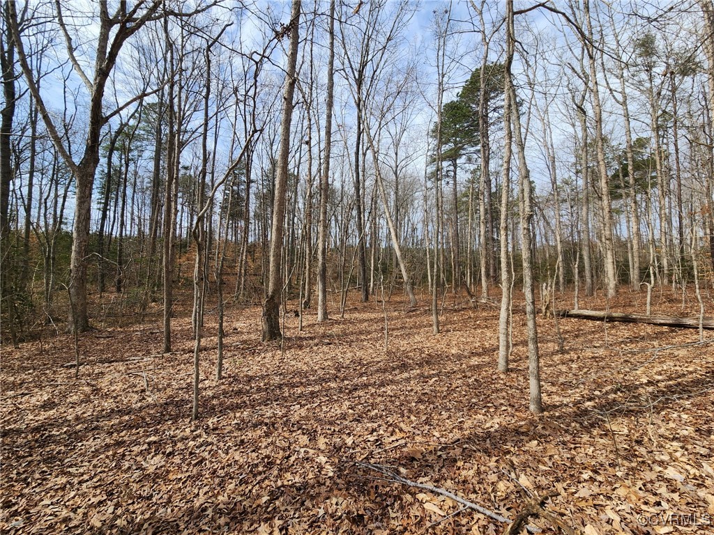 2275 Cedar Hill Road Mineral, VA 23117 - Photo 34 of 34 Actual Property 2.19.25