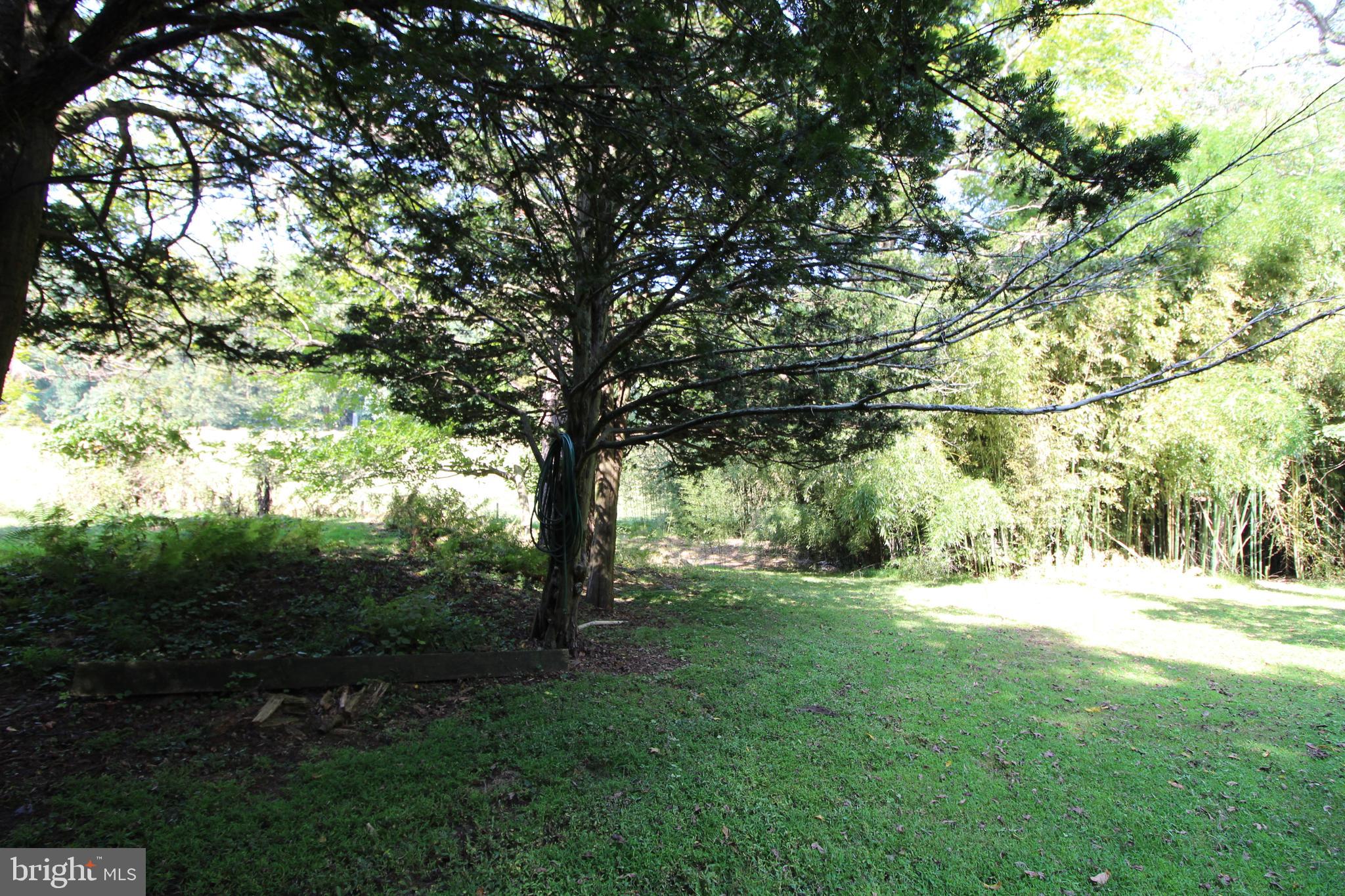 420 Hillendale Road Kennett Square, PA 19348 - Photo 40 of 48 Beautiful Yard!!!