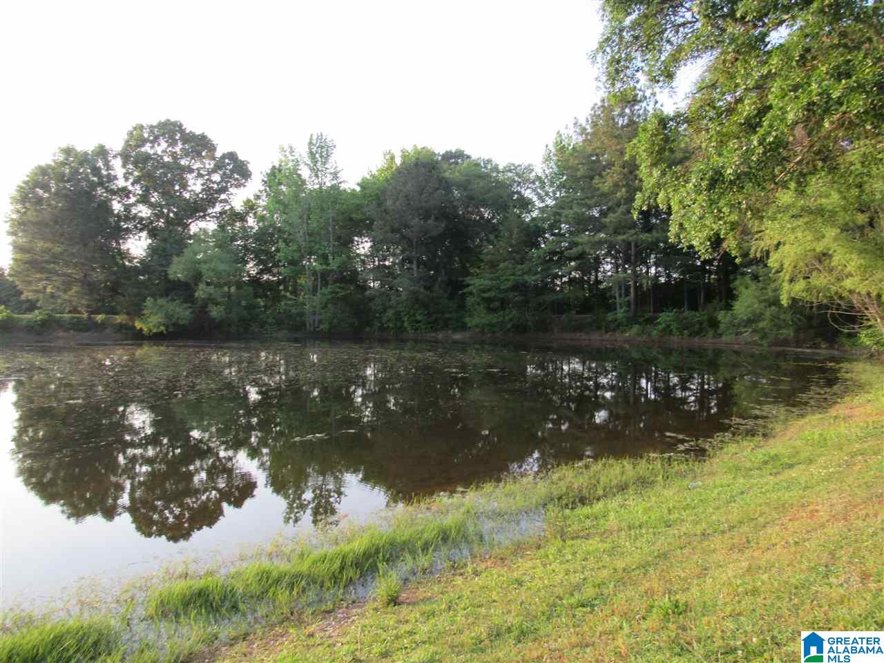 210 Shirey Lane Calera, AL 35040 - Photo 16 of 38