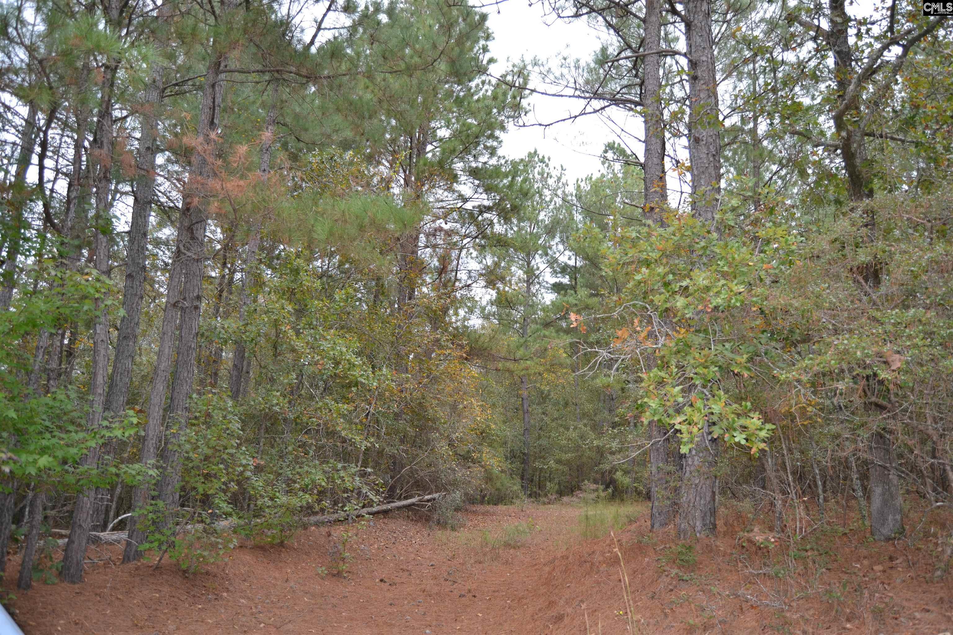 477 Thor Road Pelion, SC 29123 - Photo 11 of 21