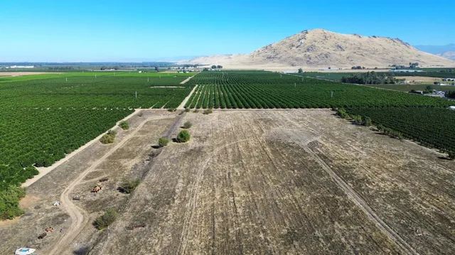 a view of a park with a big yard