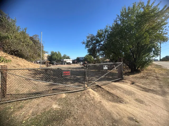 a view of backyard and tree