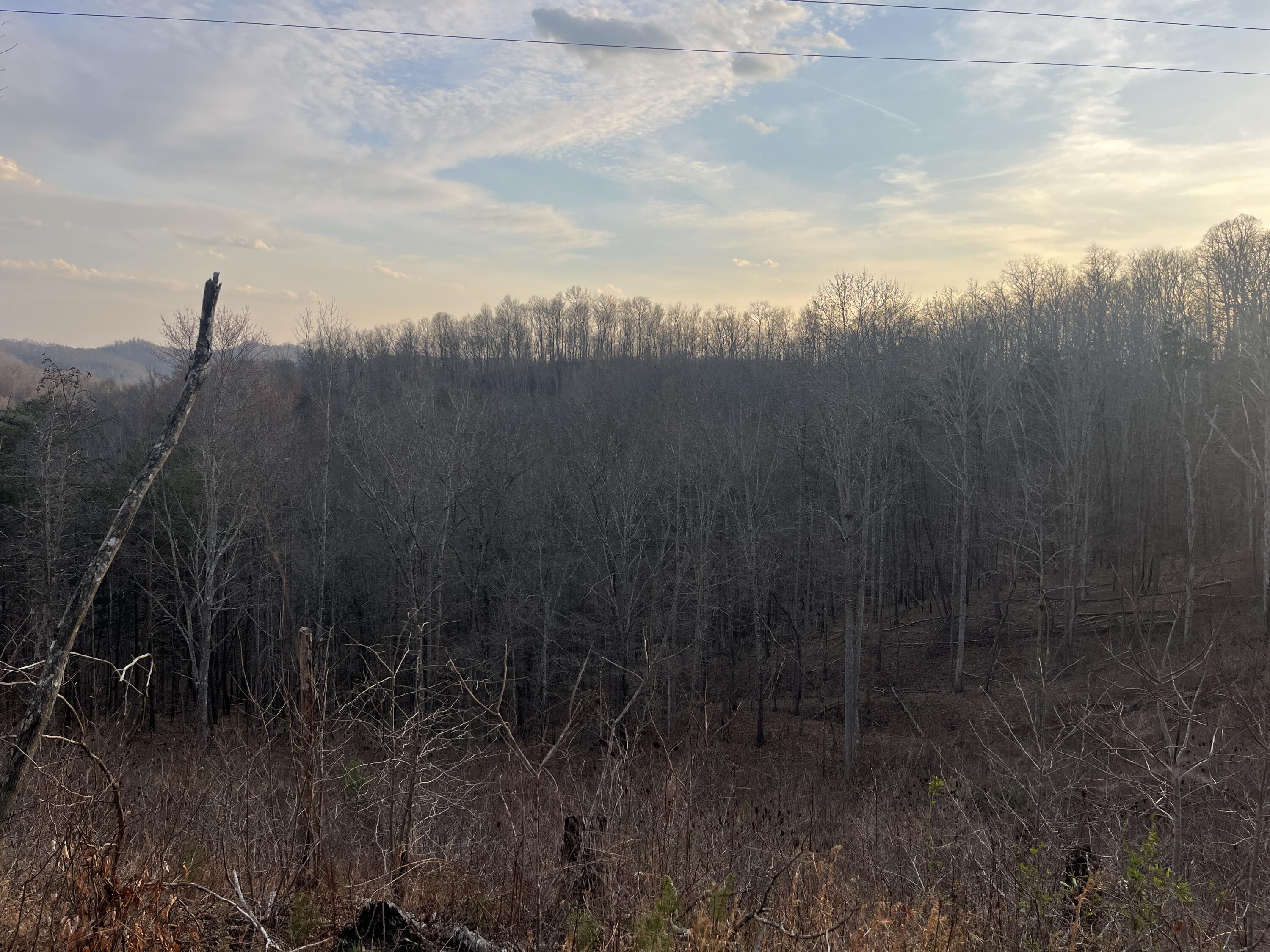 617 Walk Log Branch Road Jackson, KY 41339 - Photo 10 of 57 IMG_0532