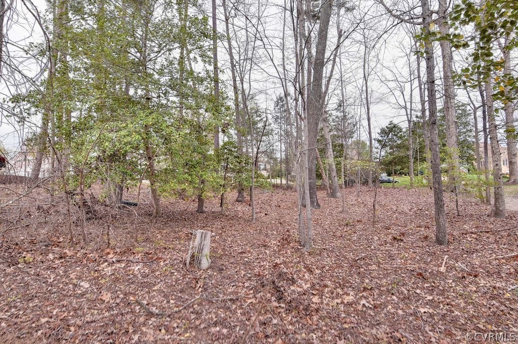 3045 Ridge Drive Toano, VA 23168 - Photo 10 of 17 Gallery Image 10
