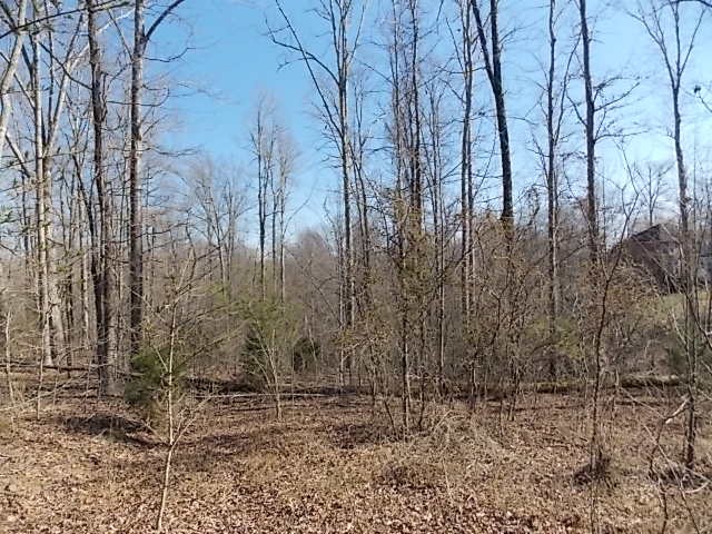 1435 White Bluff Road White Bluff, TN 37187 - Photo 6 of 7 Gallery Image 6