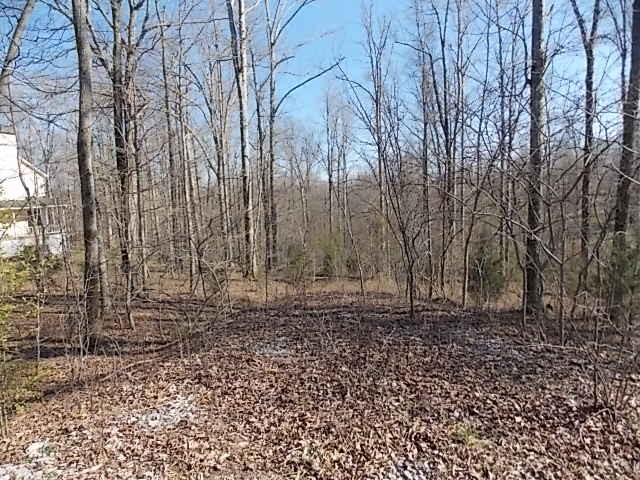1435 White Bluff Road White Bluff, TN 37187 - Photo 7 of 7 Gallery Image 7