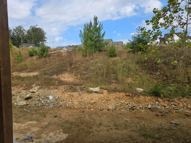 $669,900 | 10597 Brownspring Drive, Unit 115, Apison, TN 37302