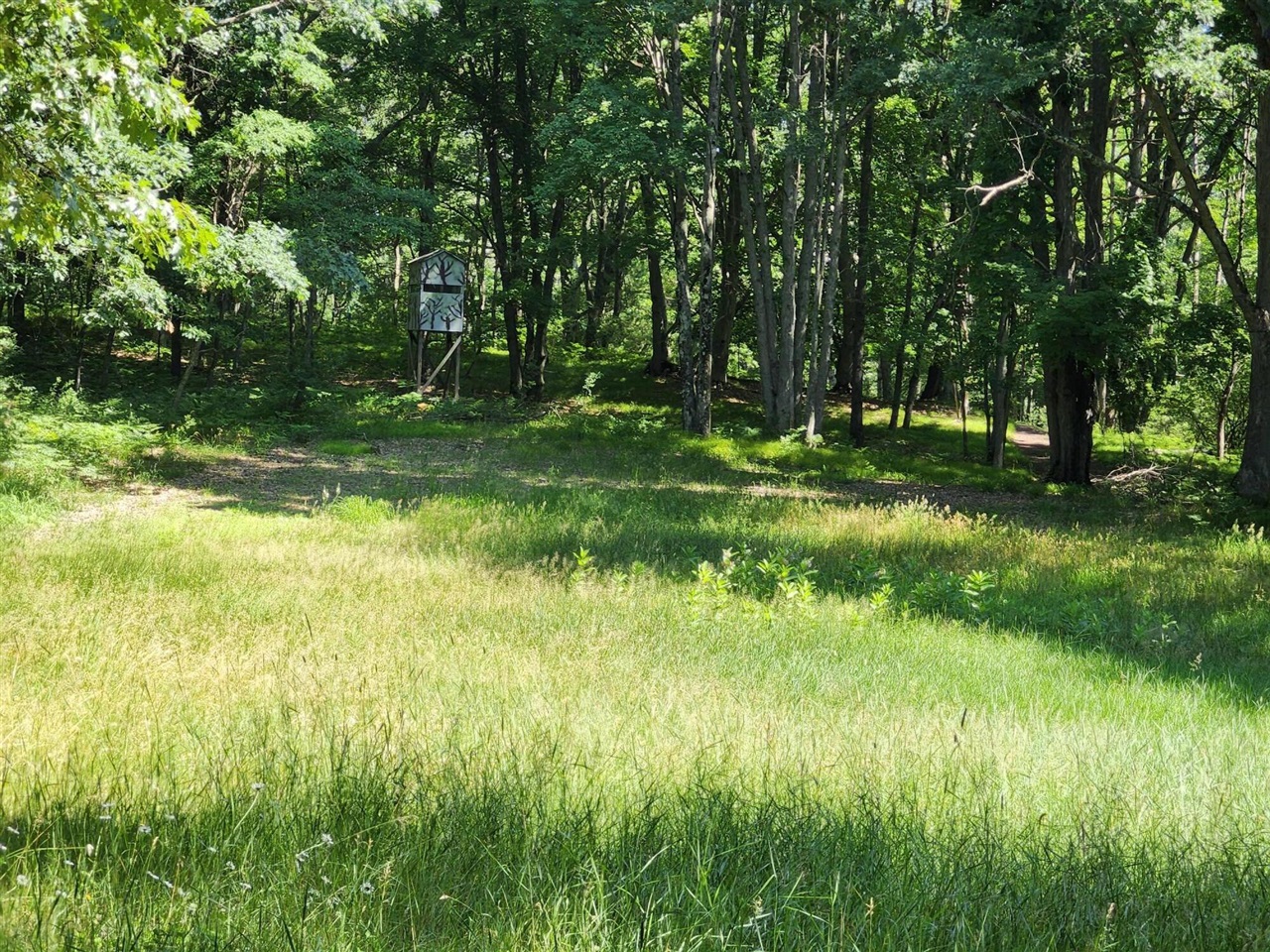 2867 East Hawley Road Custer, MI 49405 - Photo 33 of 57 Gallery Image 33