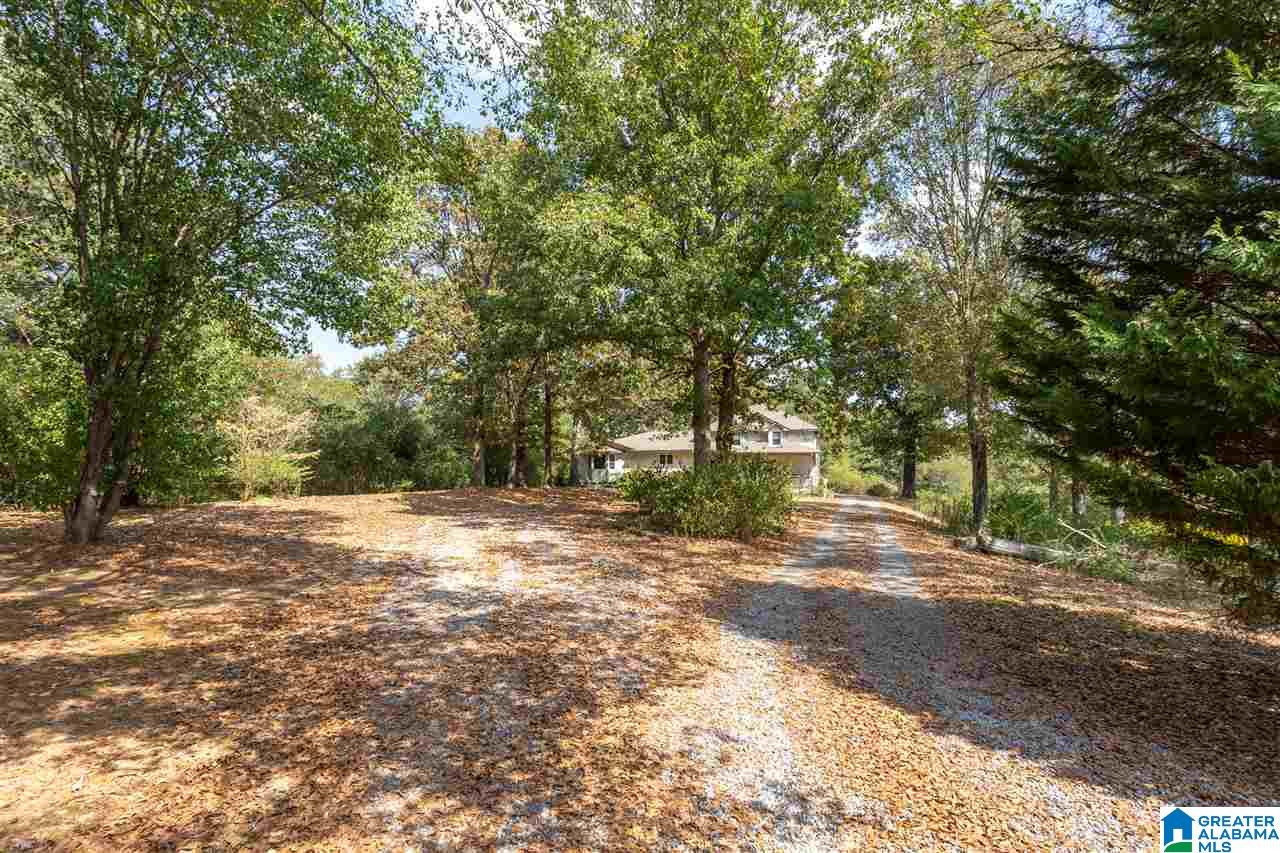 110 Mt Moriah Road Pell City, AL 35125 - Photo 3 of 44