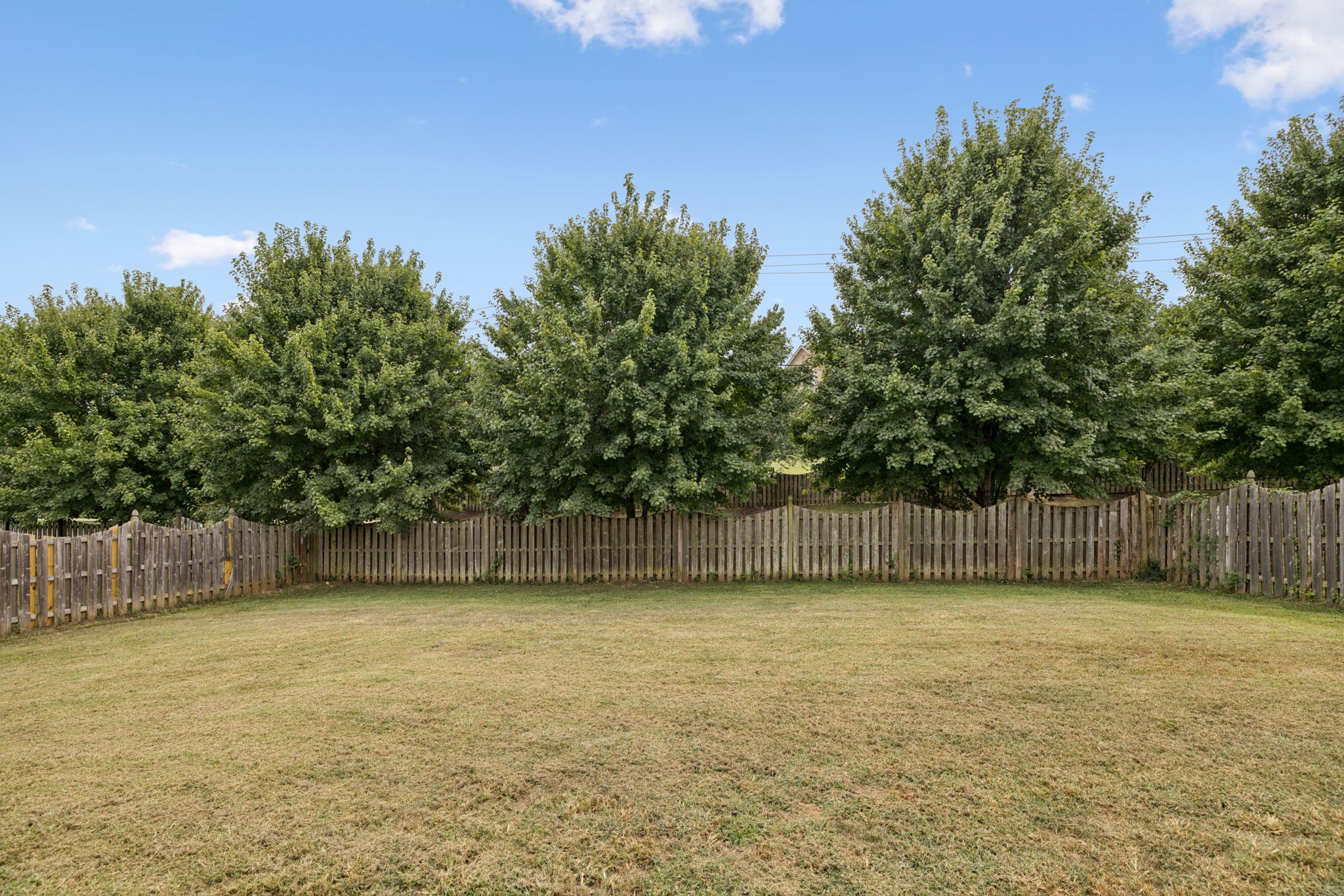 2015 Keene Circle Spring Hill, TN 37174 - Photo 29 of 37 a view of a backyard with a tree