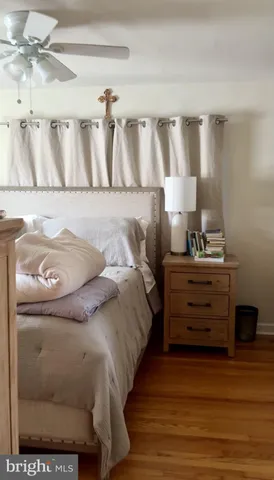 a view of a backyard with potted plants and large tree