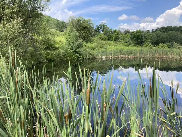 $214,900 | 751 County Road 17, Bainbridge, NY 13733