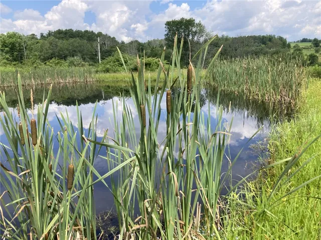 $214,900 | 751 County Road 17, Bainbridge, NY 13733