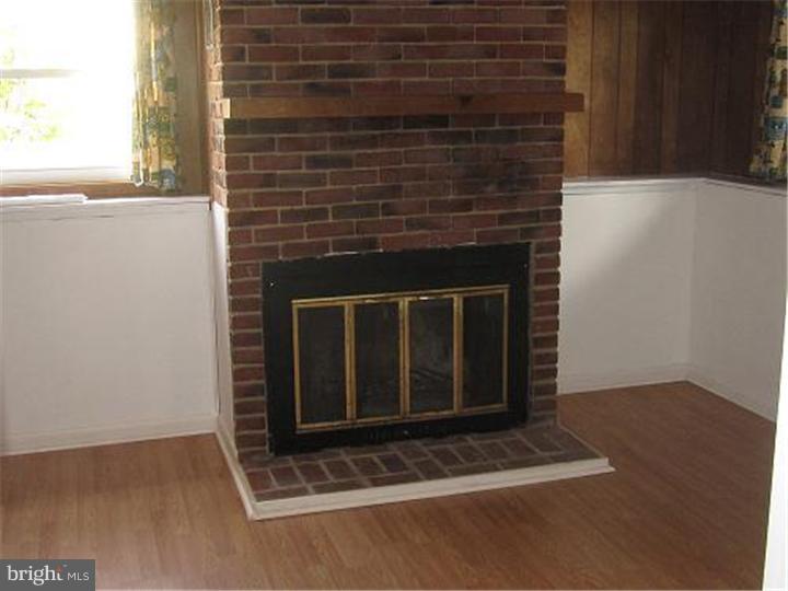 704 Manfield Road Newark, DE 19713 - Photo 13 of 14 Fireplace
