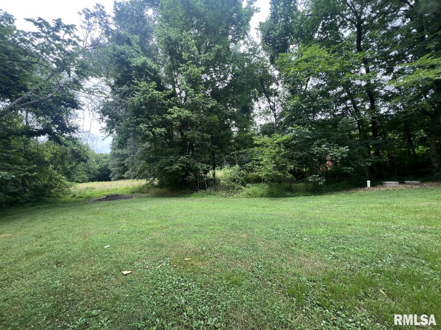 147 Raccoon Valley Road Makanda, IL 62958 - Photo 11 of 43 Gallery Image 11