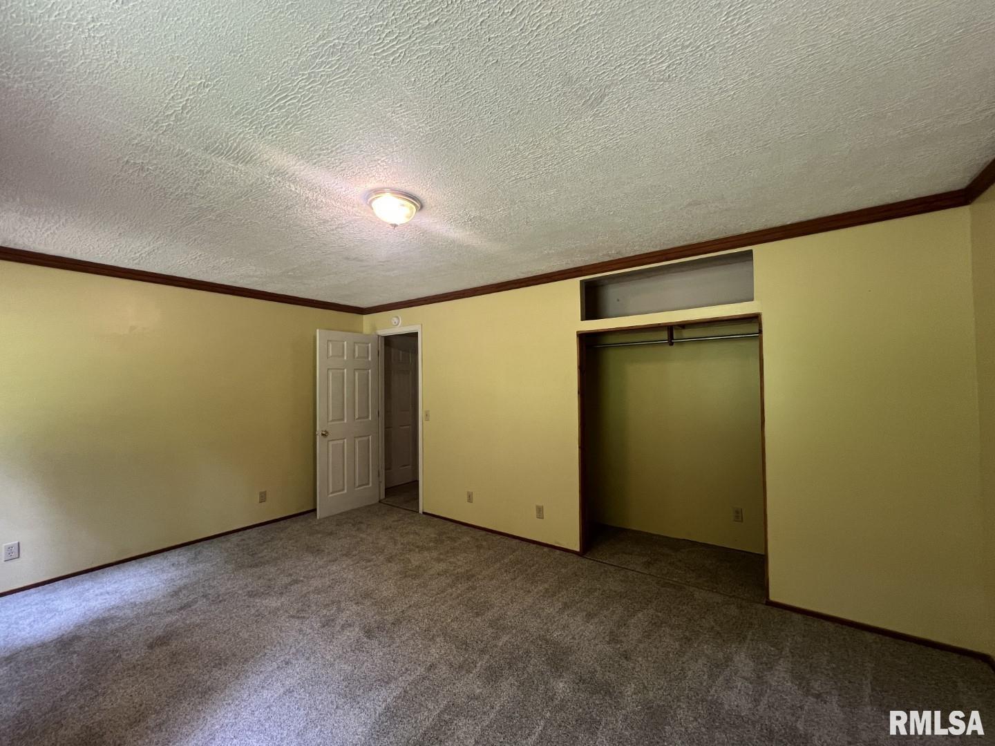 147 Raccoon Valley Road Makanda, IL 62958 - Photo 34 of 43 Gallery Image 34