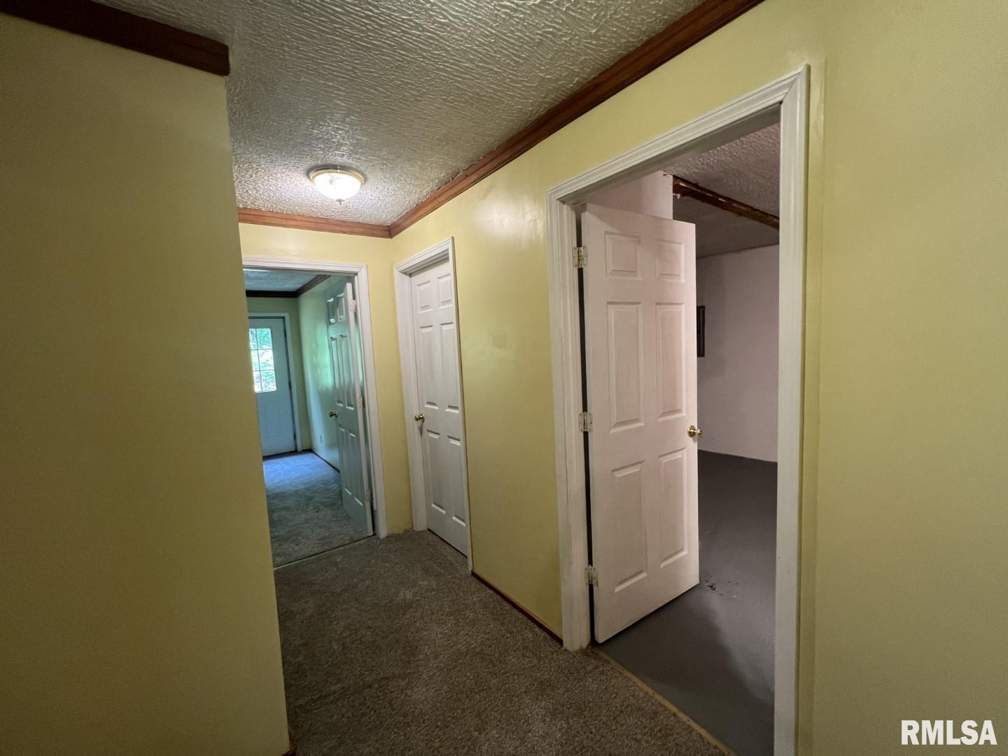 147 Raccoon Valley Road Makanda, IL 62958 - Photo 35 of 43 Gallery Image 35