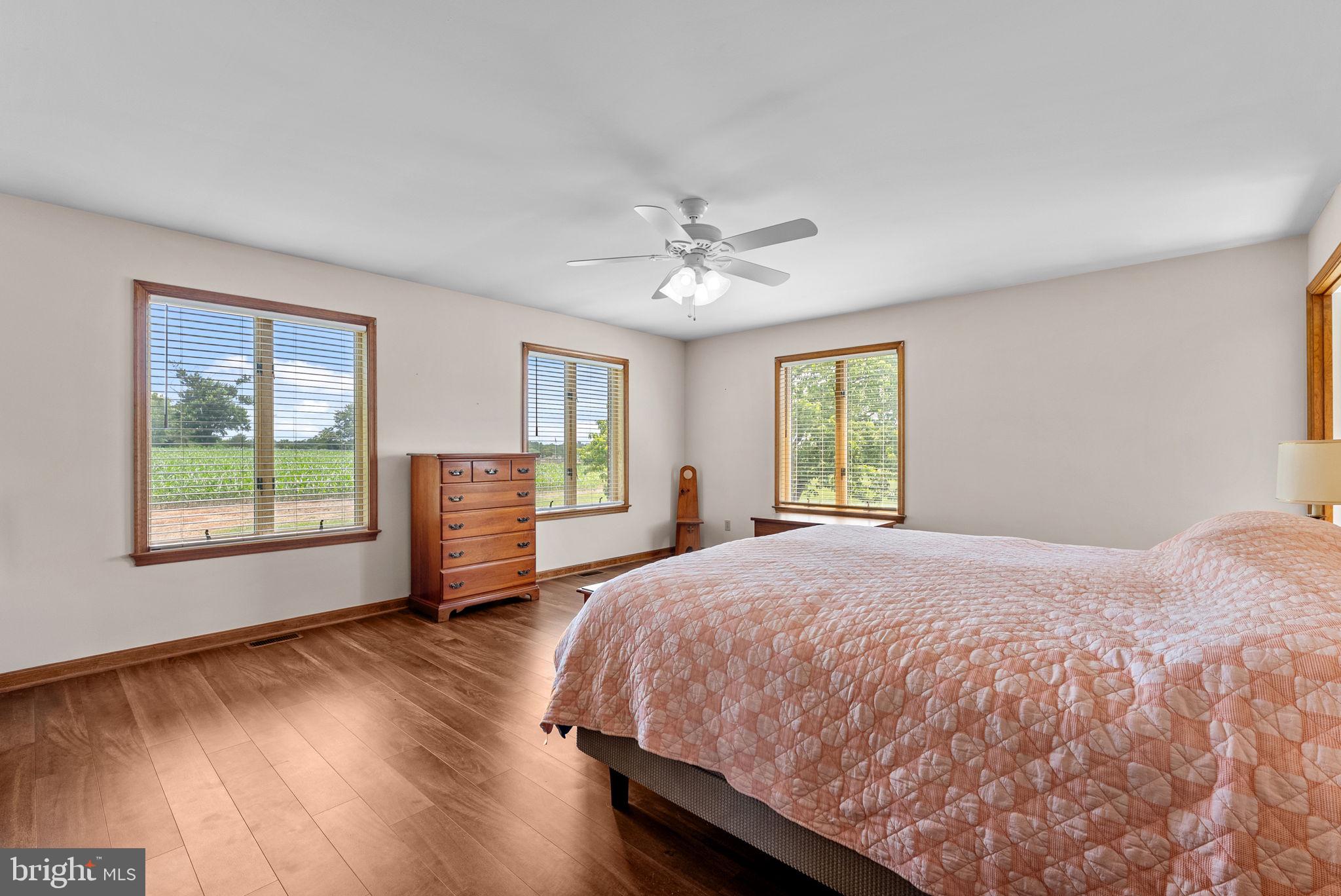 11889 Cemetery Road Remington, VA 22734 - Photo 36 of 74 Primary Bedroom