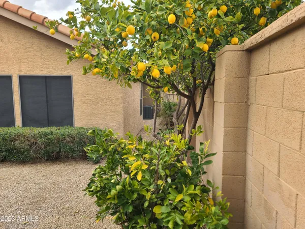 $3,000 | 15825 North 51st Street, Scottsdale, AZ 85254