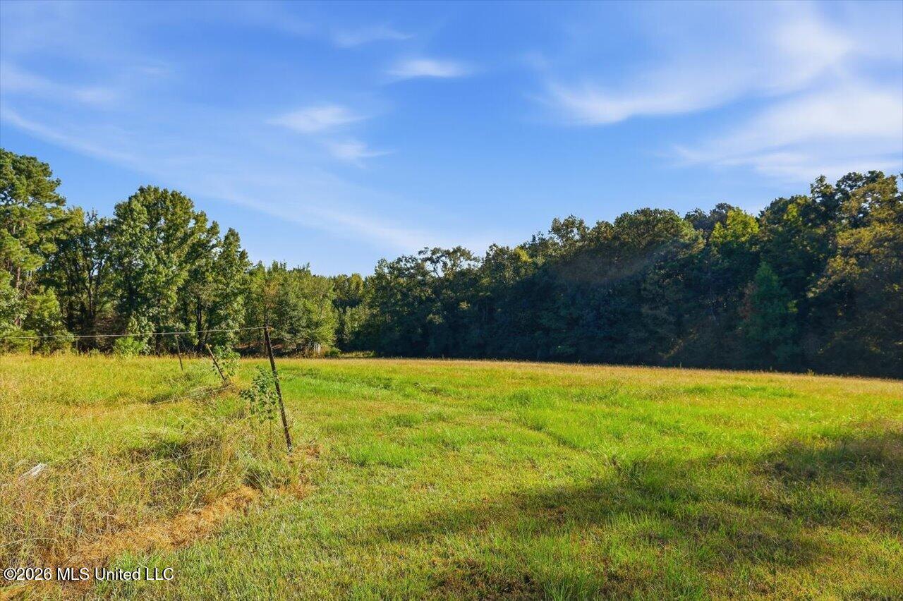1170 Mikelle Road Jackson, MS 39212 - Photo 33 of 42 33-1170 Mikelle Rd _ Hometoursms.com