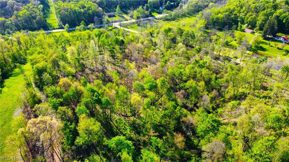Patton Road Jewett, OH 43986 - Photo 26 of 42