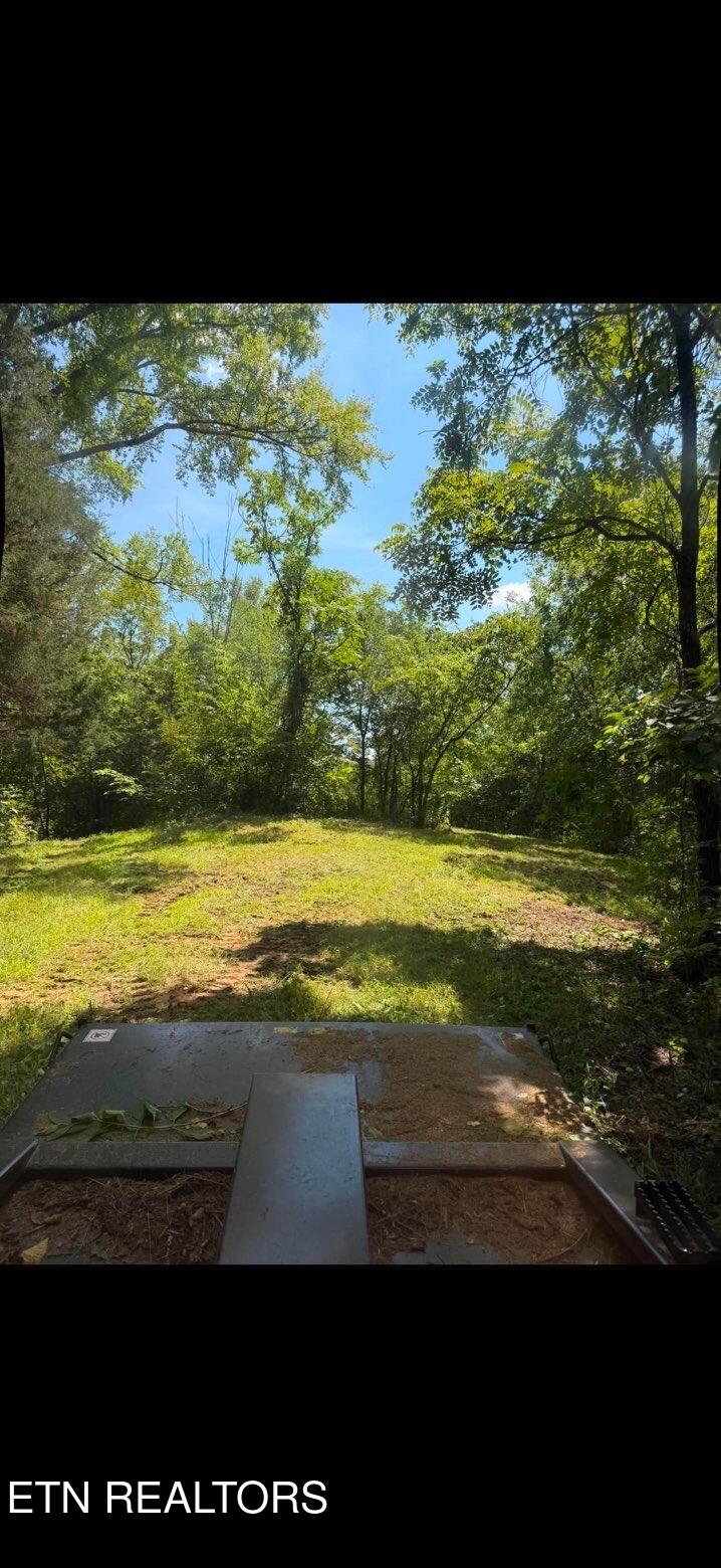 1668 Goodwater Road Bybee, TN 37713 - Photo 29 of 41 IMG_6918