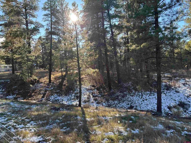 a view of a yard with wooden fence