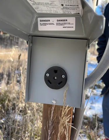 a view of a forest with trees