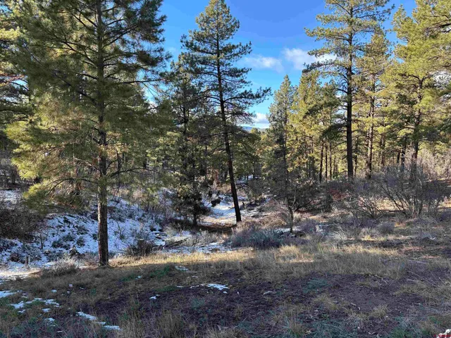 a view of yard with tree