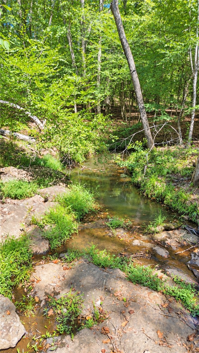 2420 Rainey Road Starr, SC 29684 - Photo 35 of 36 A tranquil, shallow stream winds through a dense canopy of mature trees.