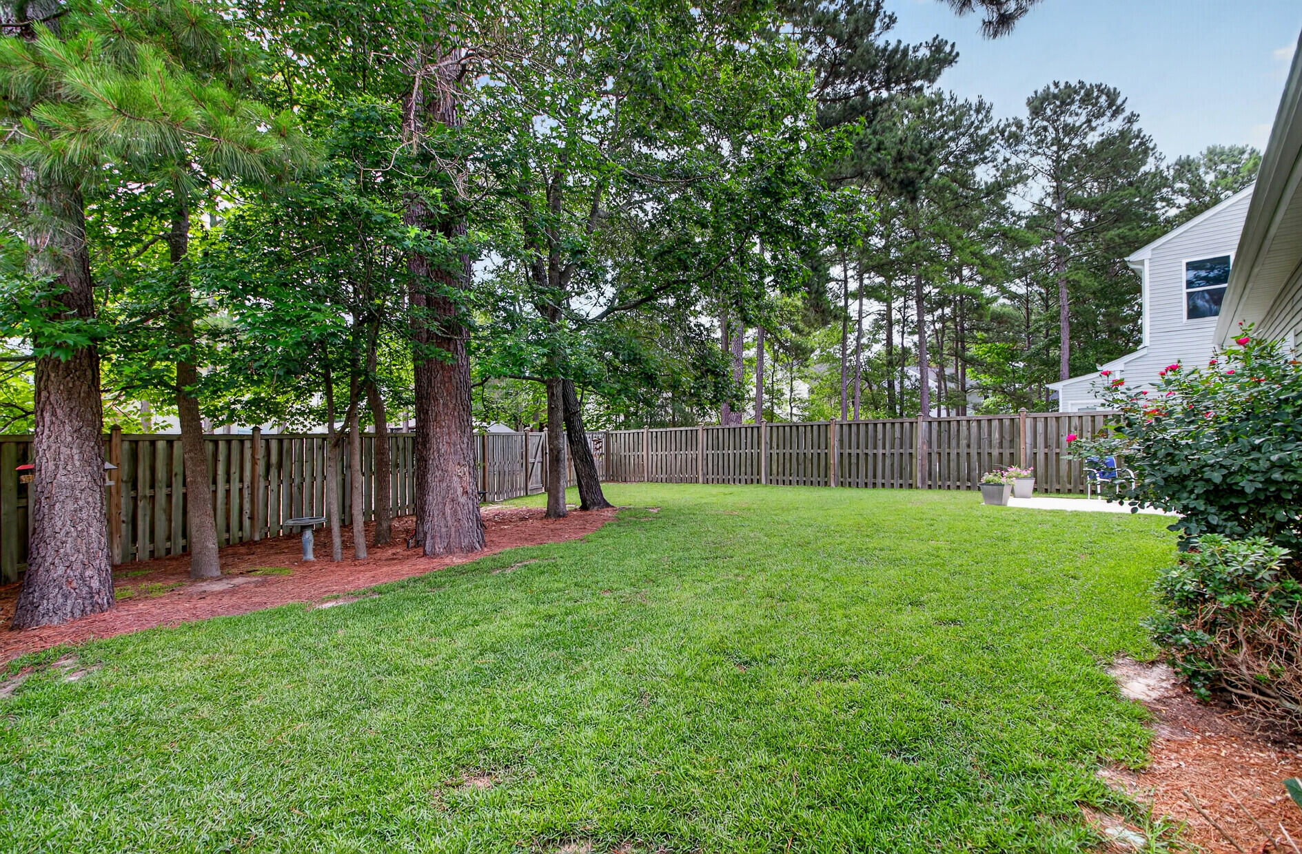 225 Alpine Road Summerville, SC 29485 - Photo 31 of 45 Fenced Yard