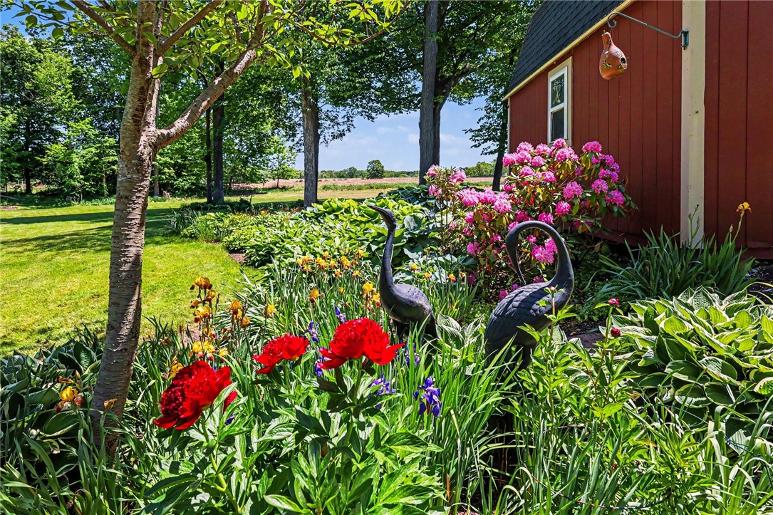 2215 Dutch Hollow Road Avon, NY 14414 - Photo 42 of 49