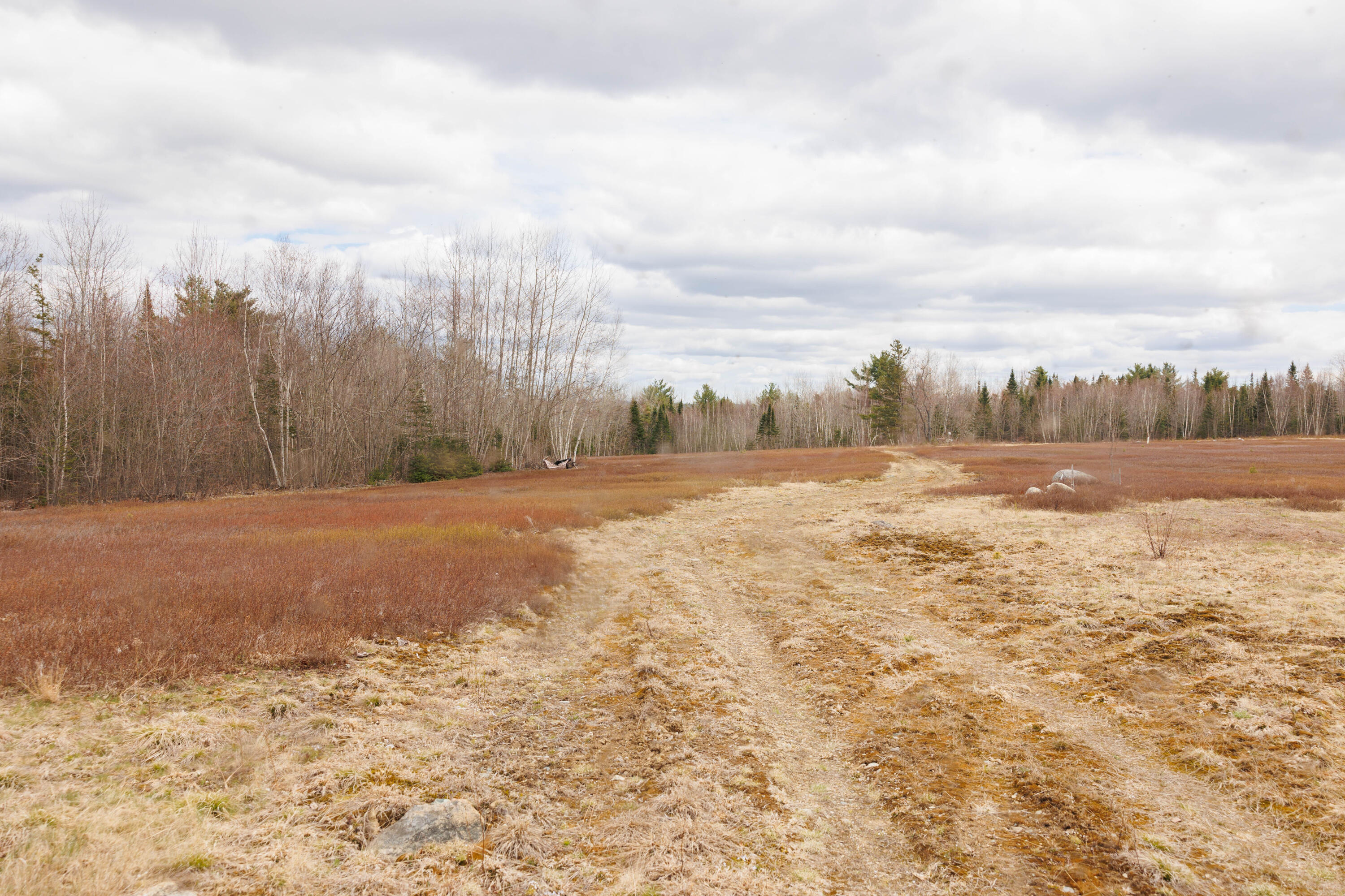 517 Tourtelotte Ridge Road Ellsworth, ME 04605 - Photo 19 of 21 517tourtelotte-20