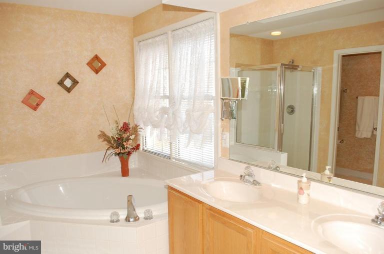 8533 High Timber Court Ellicott City, MD 21043 - Photo 17 of 21 Master Bath