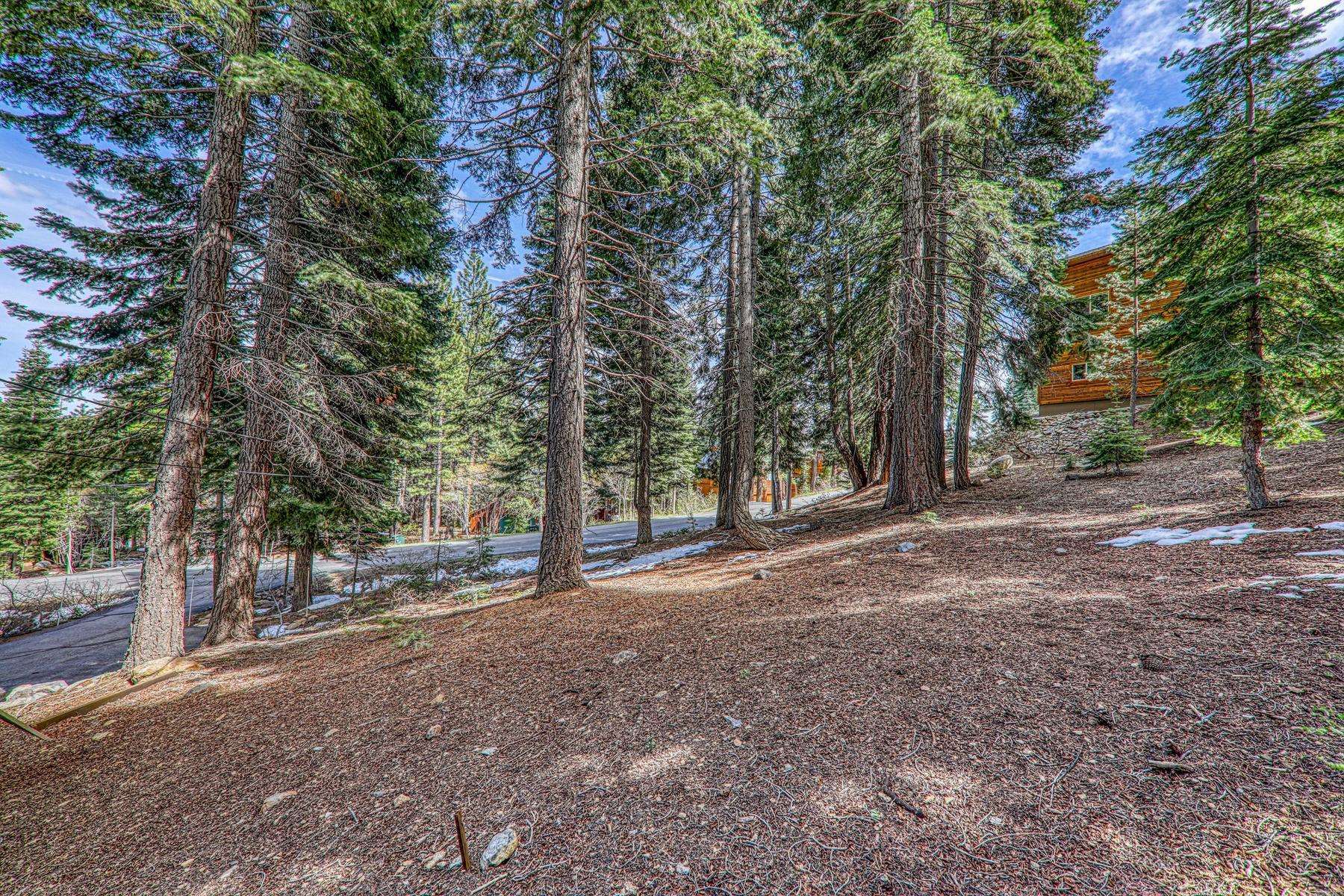 12388 Falcon Point Place Truckee, CA 96161 - Photo 3 of 8